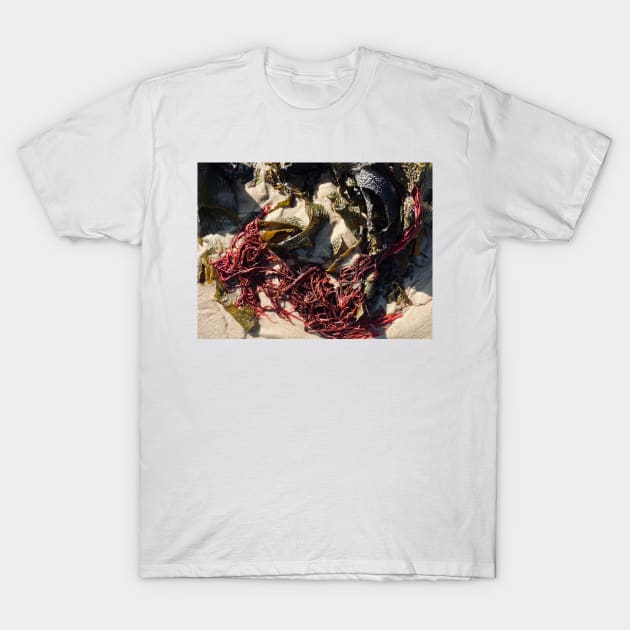 Seaweed Studies T-Shirt by goodieg